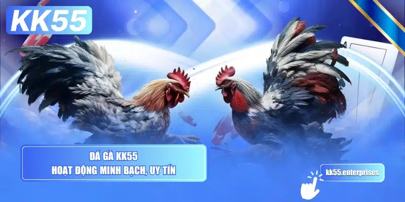 Đá Gà KK55 1 da-ga-kk55-hoat-dong-minh-bach-uy-tin