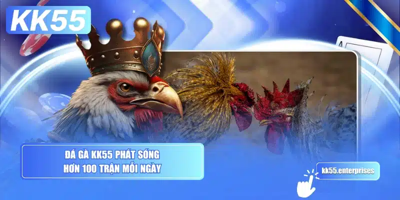 Đá Gà KK55 4 da-ga-kk55-phat-song-hon-100-tran-moi-ngay
