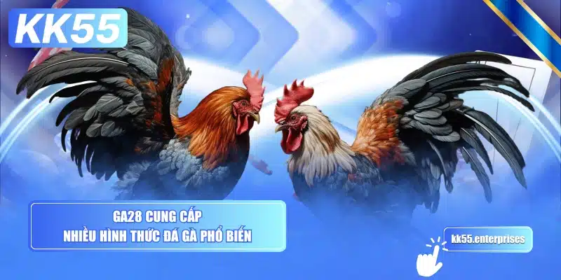 Đá Gà KK55 3 ga28-cung-cap-nhieu-hinh-thuc-da-ga-pho-bien