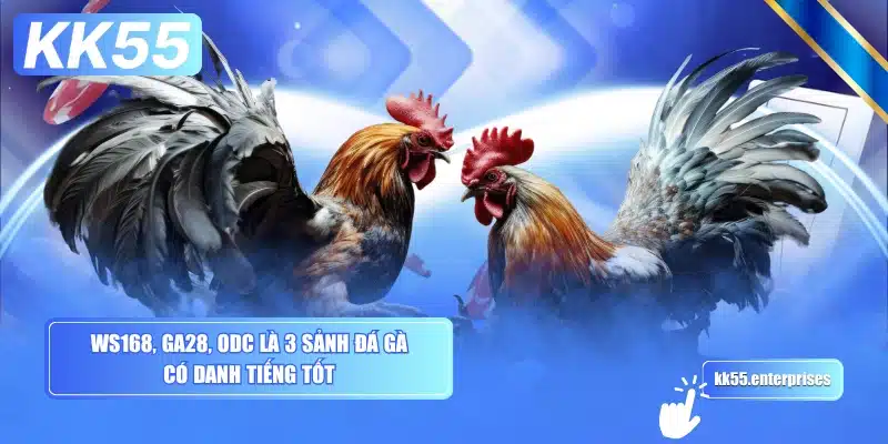 Đá Gà KK55 2 ws168-ga28-odc-la-3-sanh-da-ga-co-danh-tieng-tot
